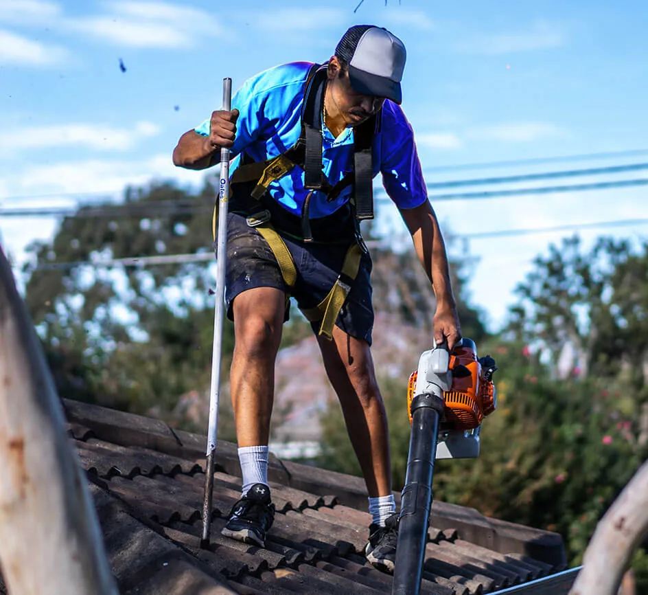 Flushing and testing every downpipe