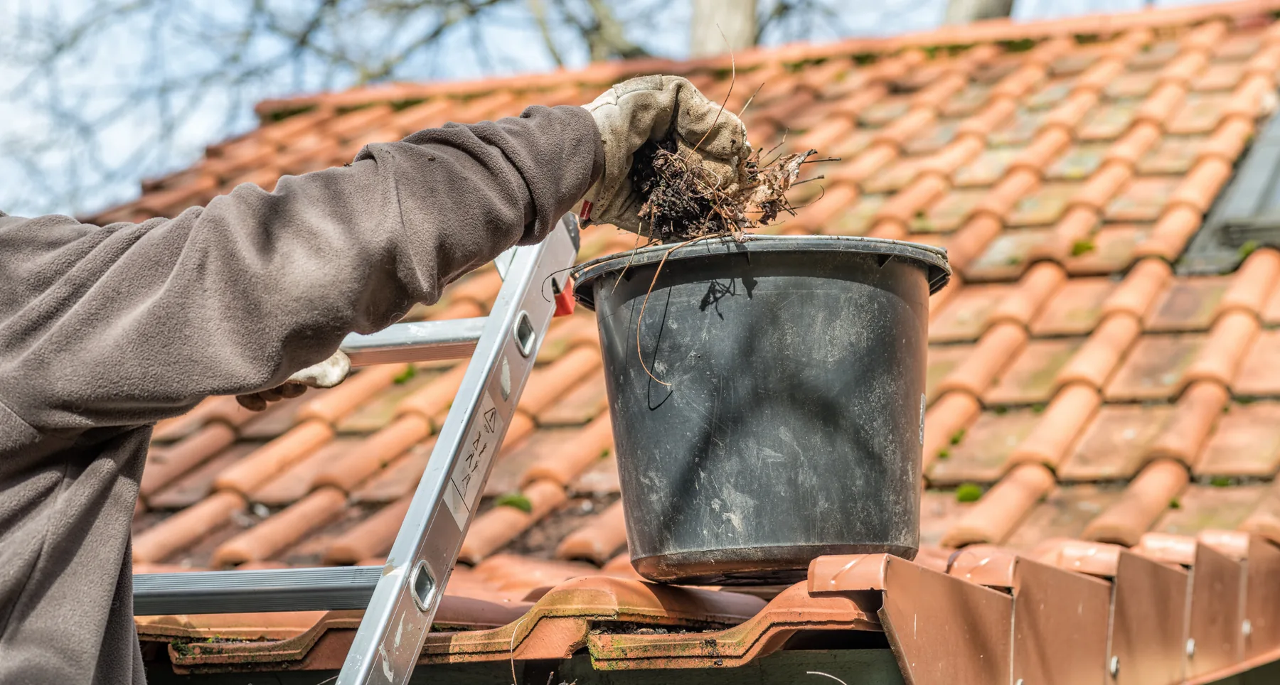 SnoWhite clearing gutters on an Auckland home