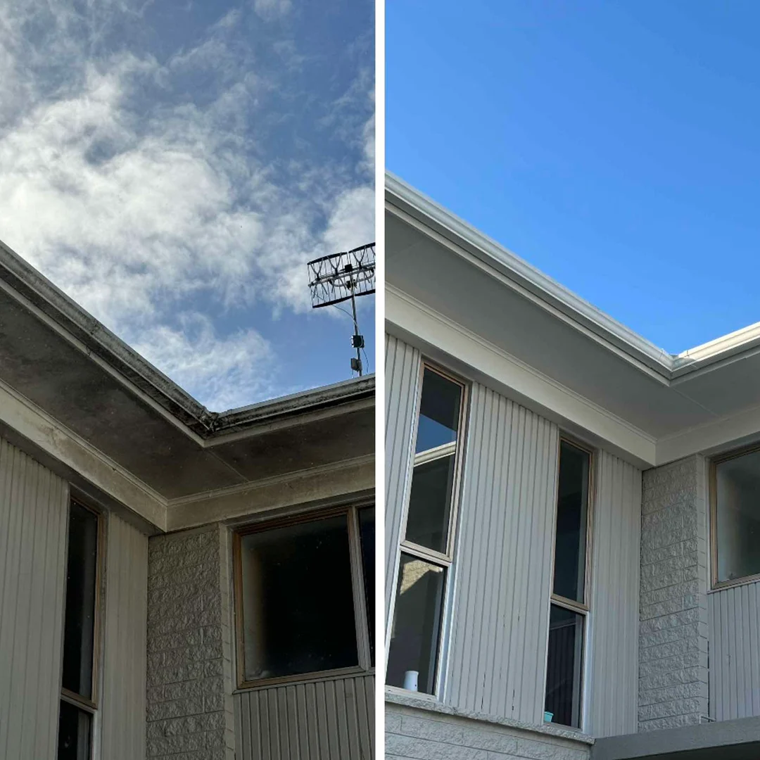 House wash before and after
