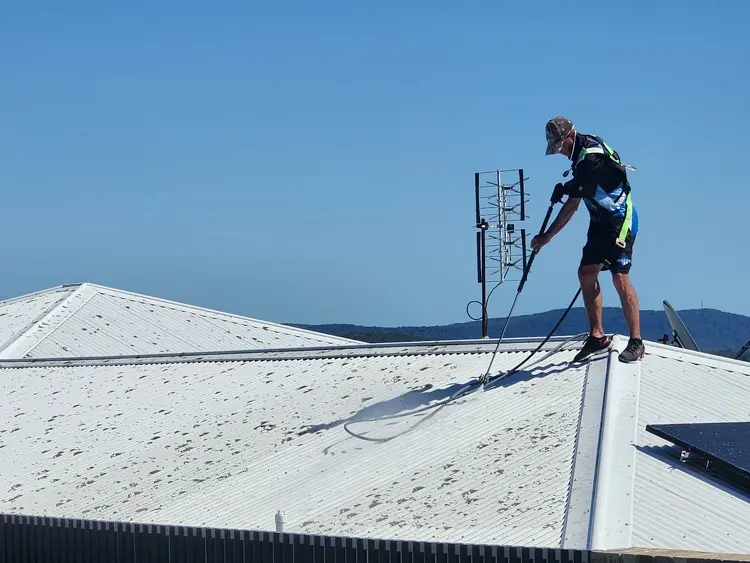 A treated Auckland roof